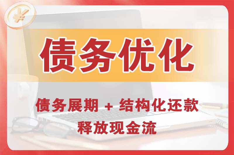 辛集债务优化
